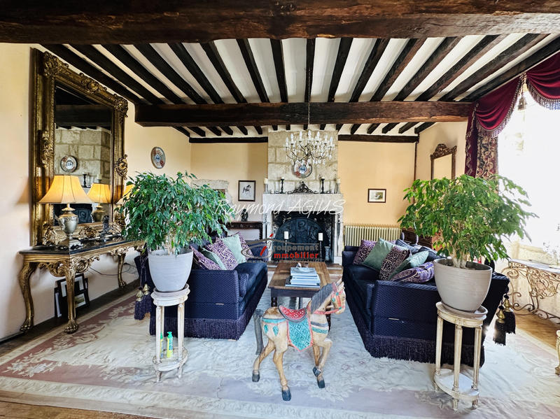 Maison - 390 m² - 14 pièces