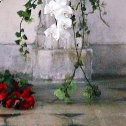 Fleuriste Laurendeau