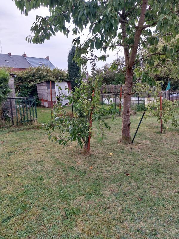 Maison - 75 m² - 5 pièces