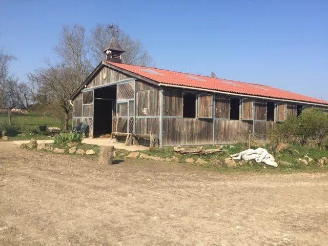 Maison de domaine équestre - 231 m² - 7 pièces