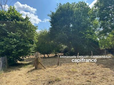 Terrain constructible - 1 717 m²