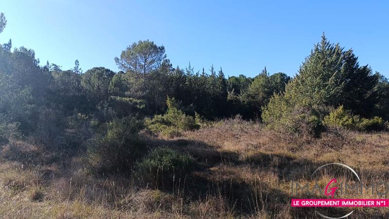 Terrain agricole - 5 224 m²