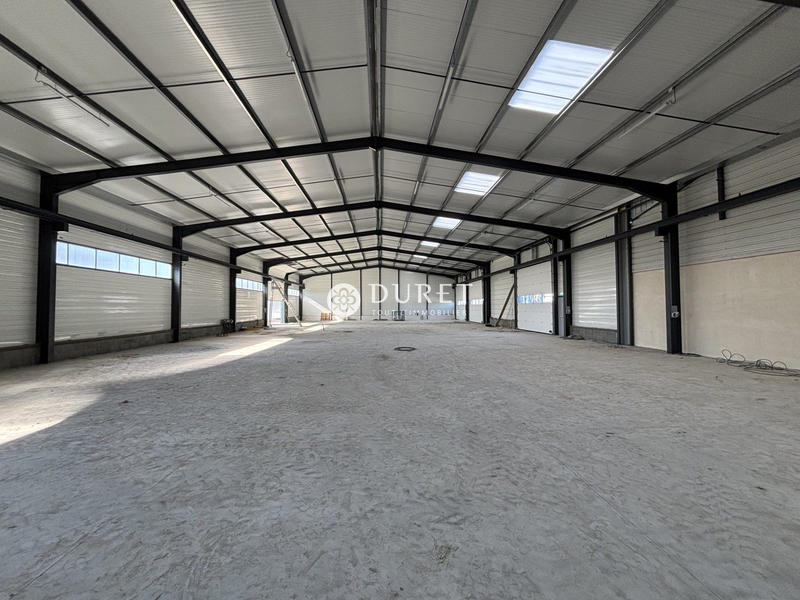 Local d'activités - 2 000 m²