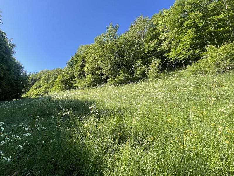 Corps de ferme - 400 m² - 5 pièces