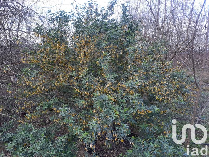 Terrain agricole - 16 110 m²