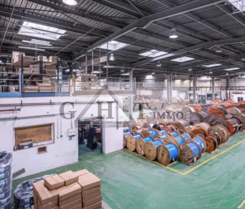 Entrepôt - 2 596 m²