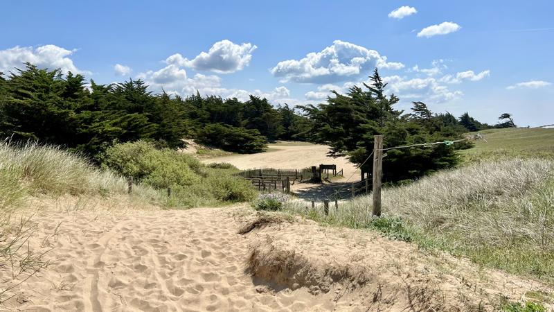 Appartement - 51 m² - 3 pièces