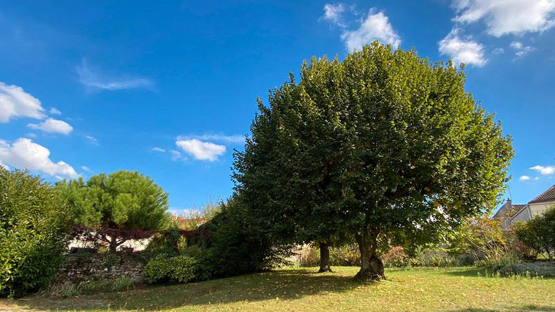 Maison - 350 m² - 12 pièces