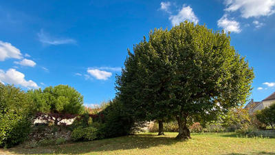 Maison - 350 m² - 12 pièces