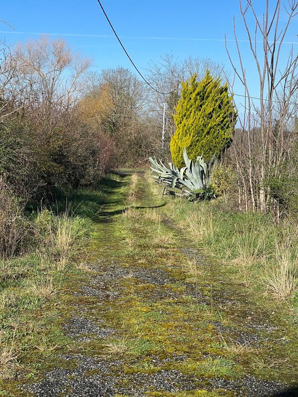 Maison - 150 m² - 1 pièce