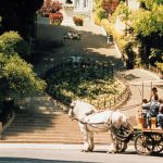 Les Attelages du Château