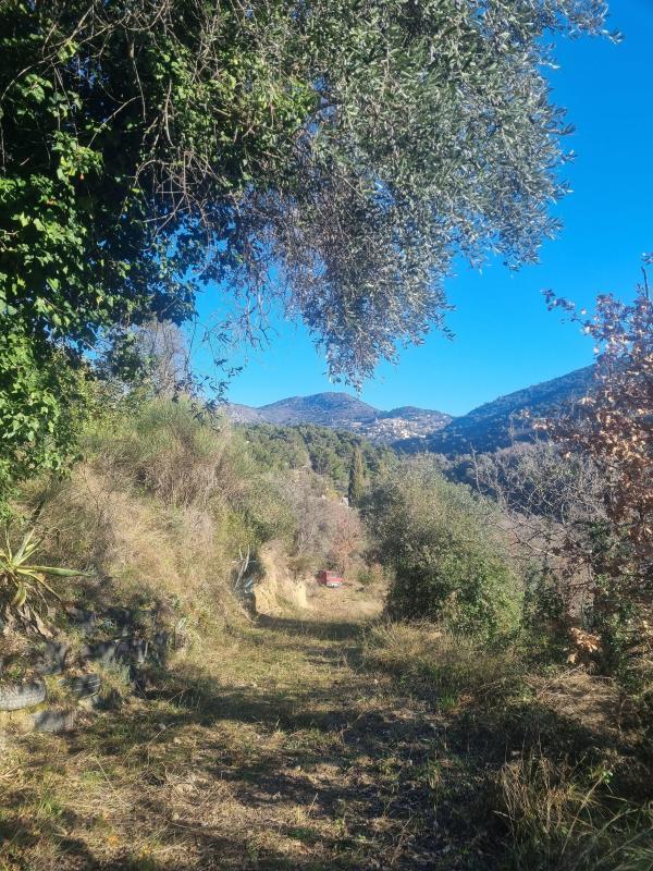 Terrain de loisirs - 1 520 m²