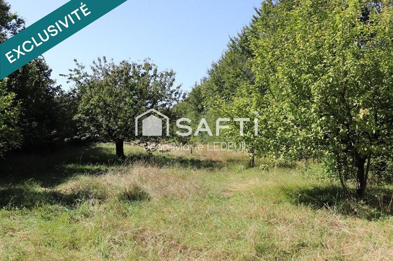 Terrain - 3 010 m²
