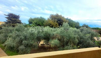 Studio - 19 m² - 1 pièce