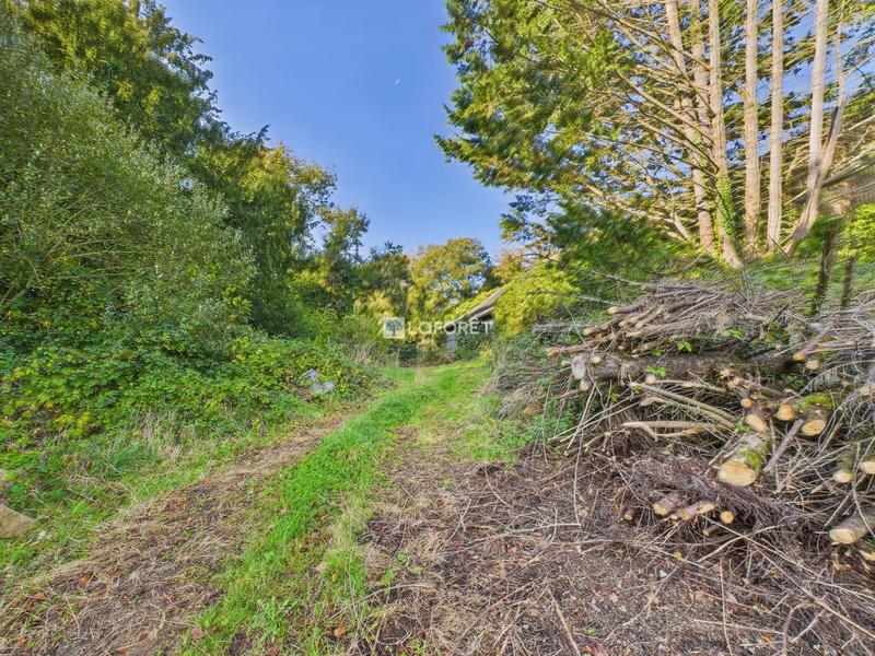 Maison ancienne - 90 m² - 4 pièces