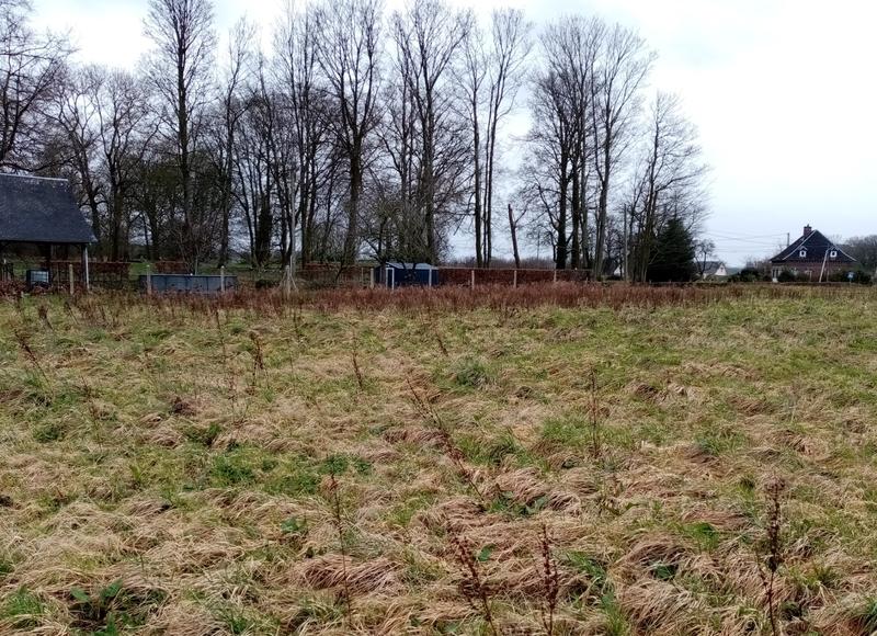 Terrain constructible - 896 m²