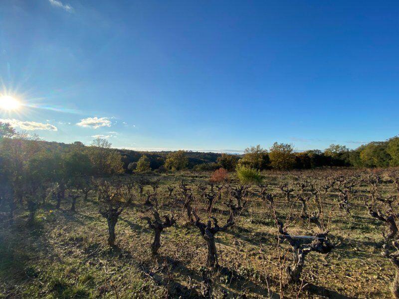 Terrain agricole - 7 770 m²