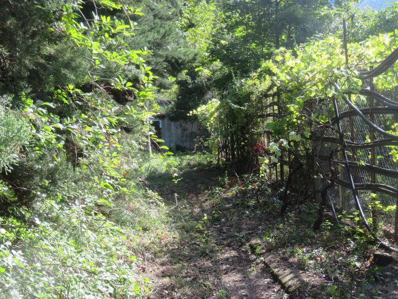 Terrain constructible - 1 125 m²