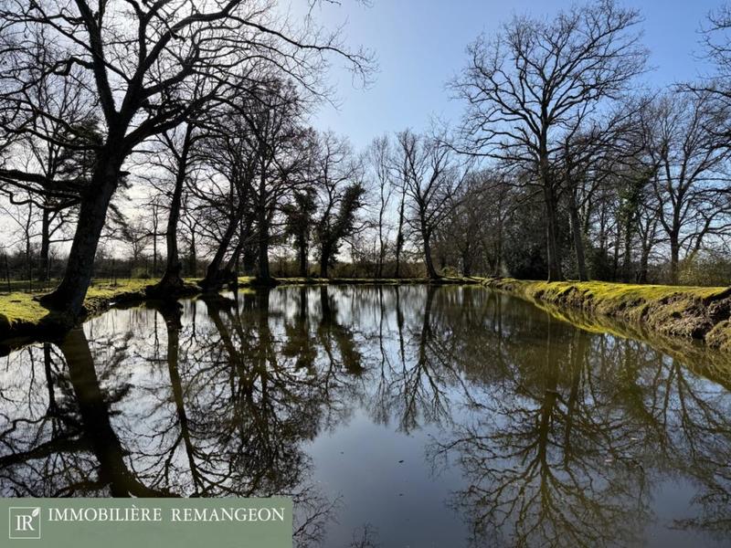 Longère - 238 m² - 9 pièces