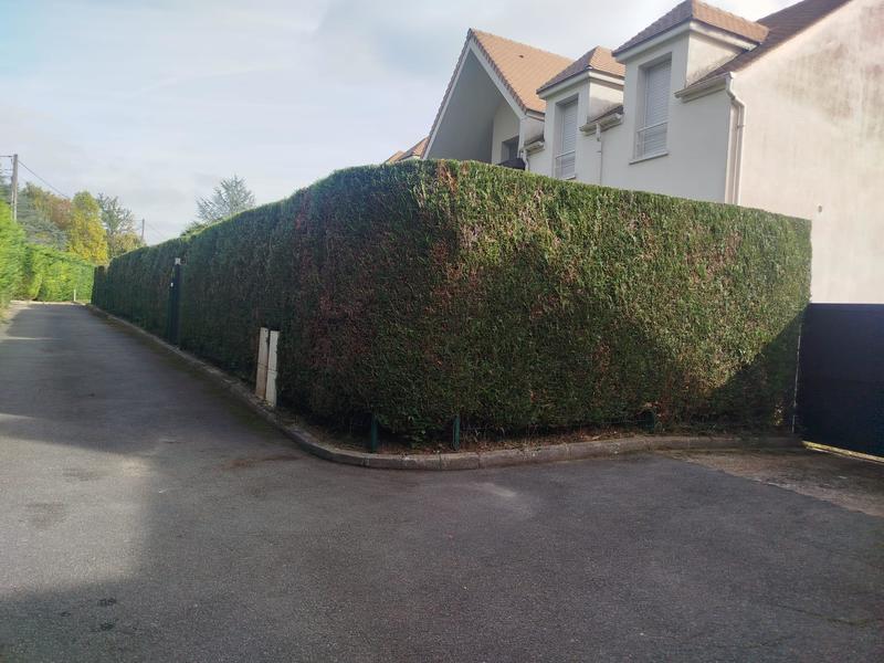 Château - 360 m² - 8 pièces