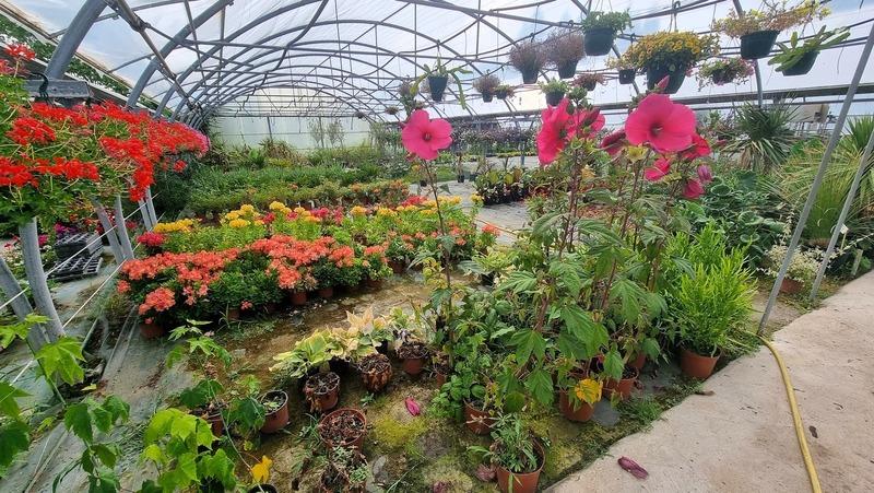 Fonds de commerce - 1 780 m²