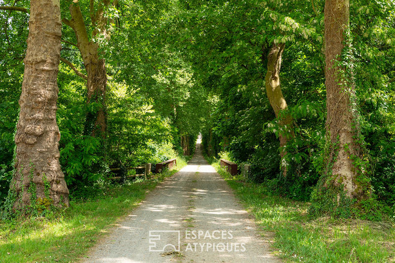 Maison - 481 m² - 12 pièces