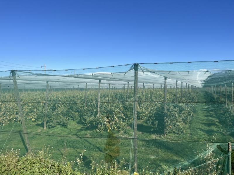 Terrain agricole - 65 685 m²