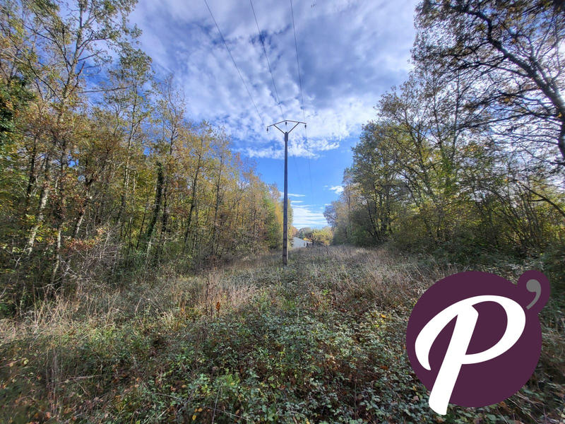 Terrain - 14 806 m²