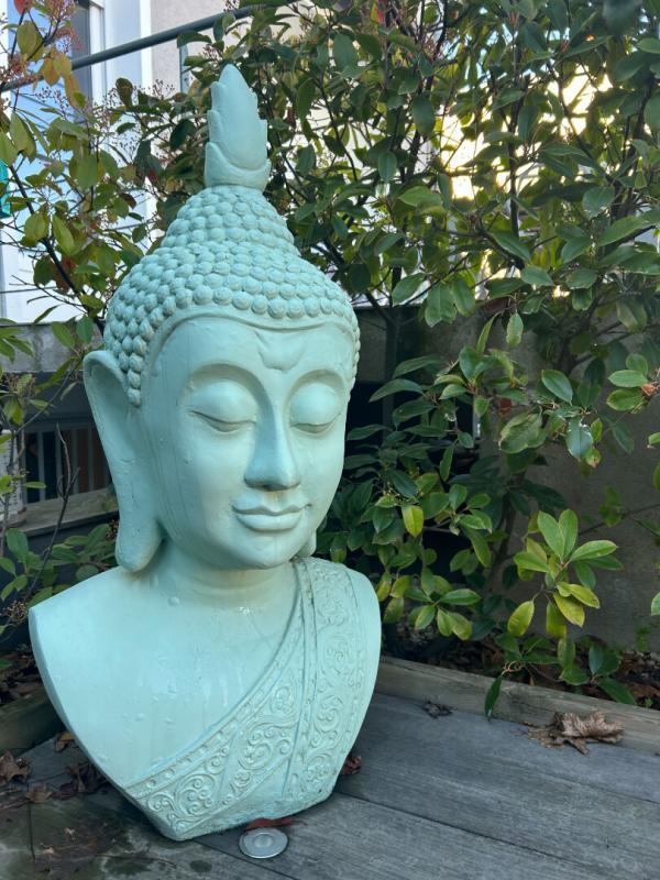 Maison - 250 m² - 7 pièces