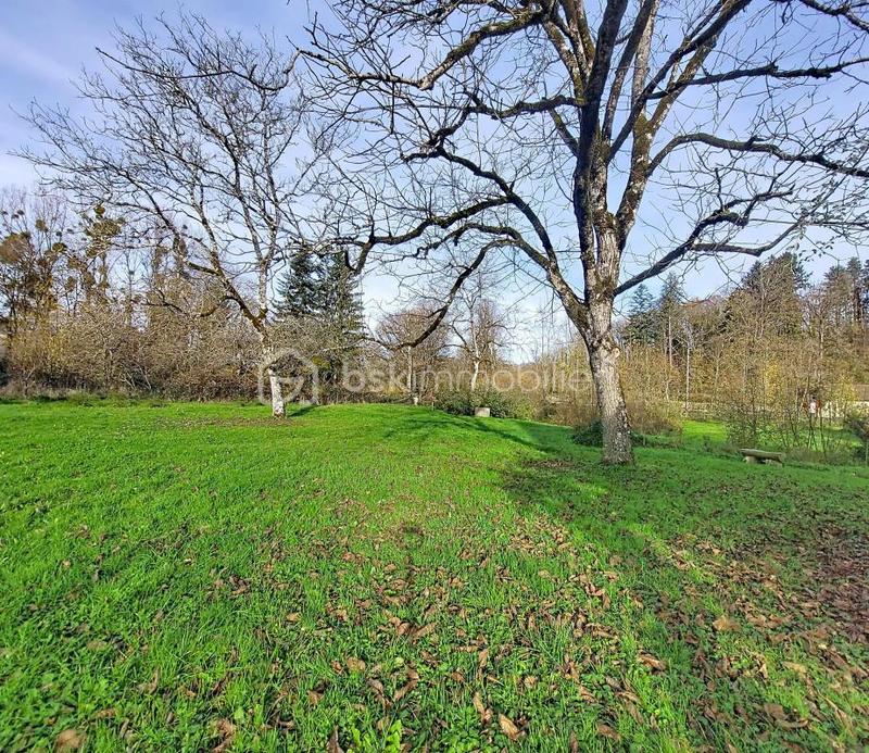 Propriété - 326 m² - 10 pièces