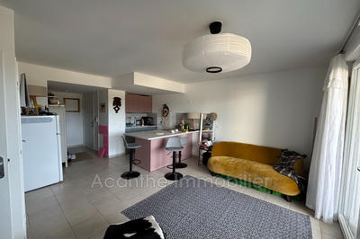 Appartement - 41 m² - 2 pièces