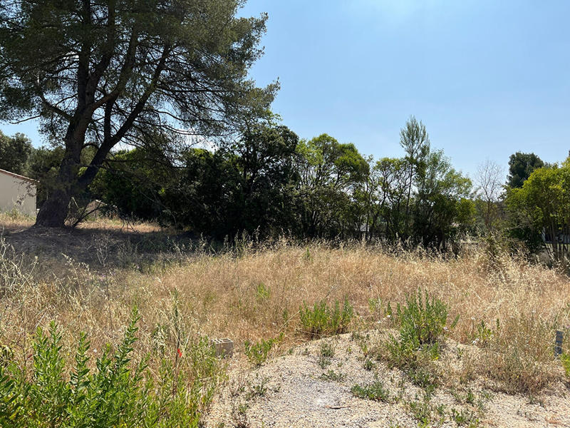 Terrain - 345 m²