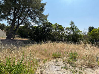 Terrain - 345 m²