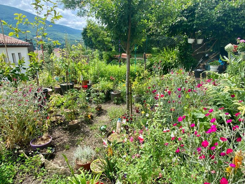 Maison - 233 m² - 10 pièces