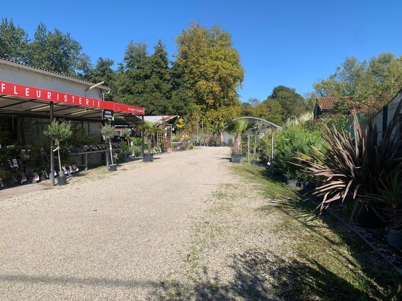 Local commercial - 450 m² - 5 pièces