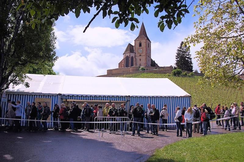 Marche gourmande "Vins et Saveurs" autour de Hunawihr