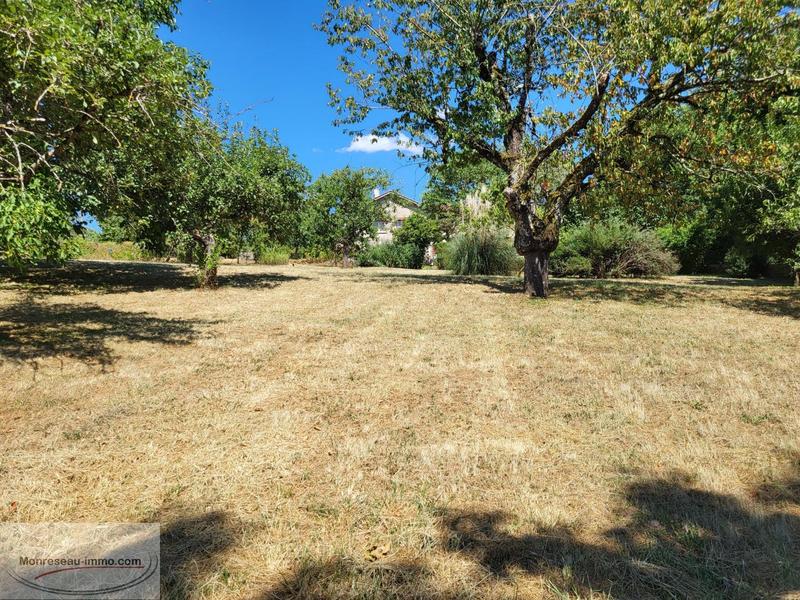 Propriété - 315 m² - 14 pièces