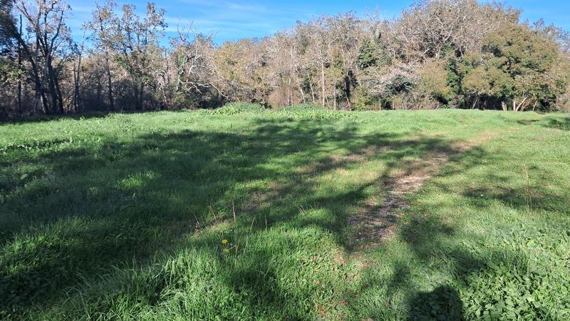 Terrain constructible - 2 000 m²