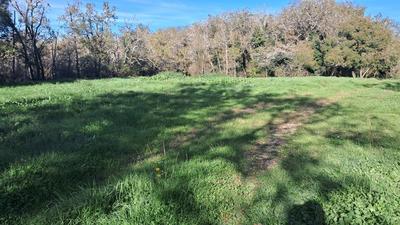 Terrain constructible - 2 000 m²