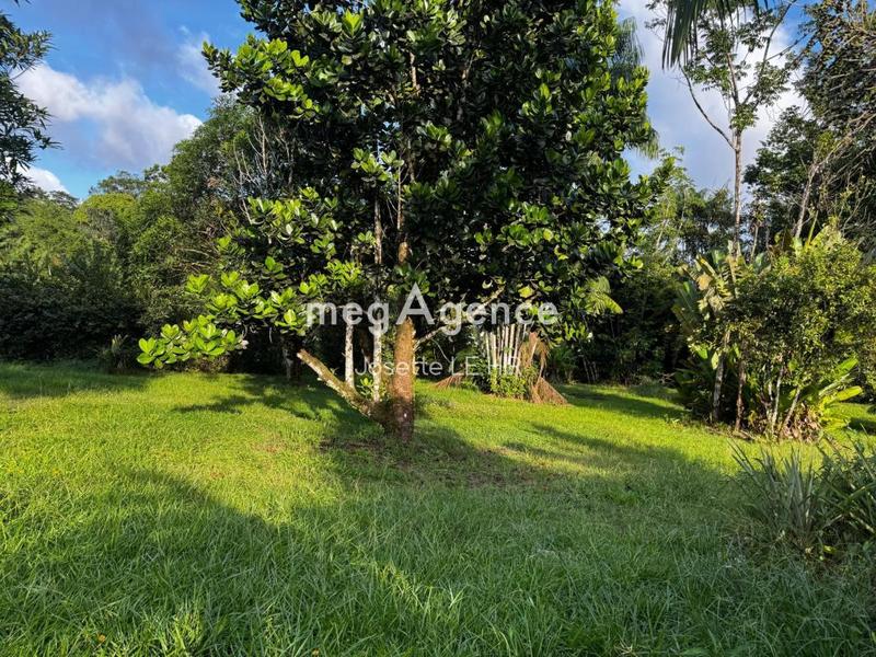 Terrain constructible - 1 560 m²