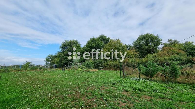 Maison - 205 m² - 8 pièces