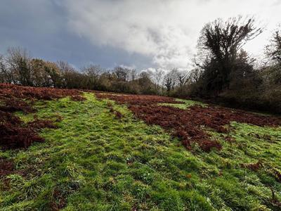 Terrain - 18 830 m²