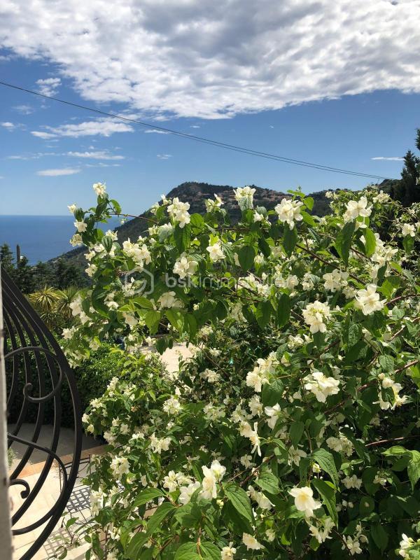 Villa - 178 m² - 6 pièces