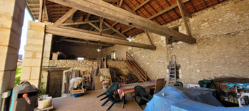 Viager - Maison - 515 m² - 17 pièces