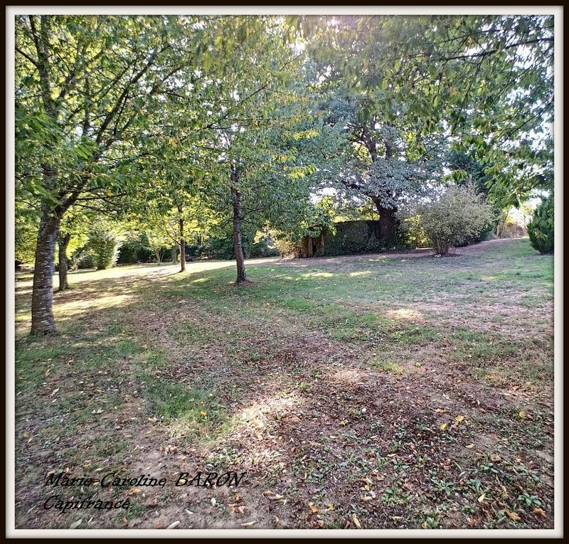 Maison - 450 m² - 10 pièces