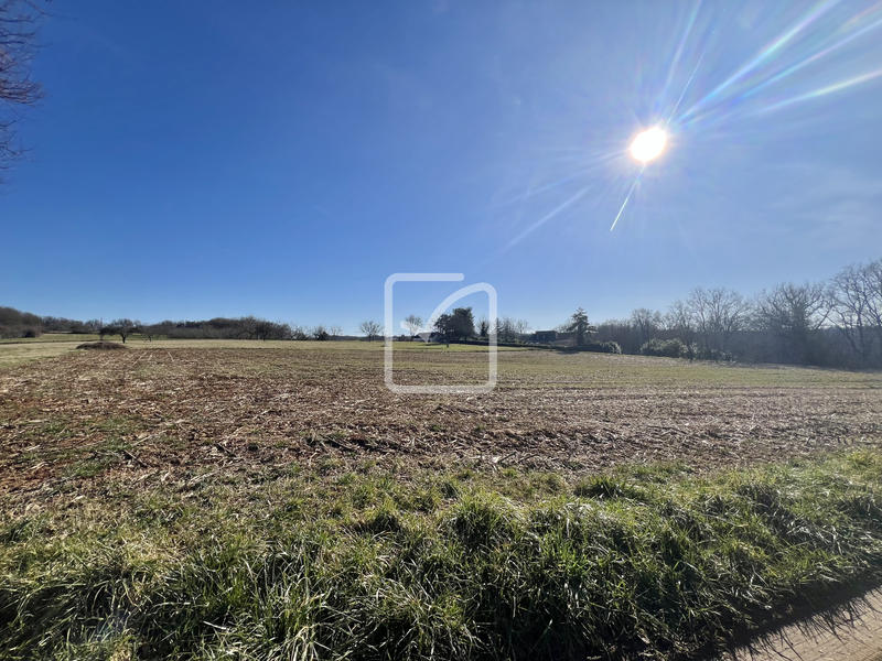 Terrain - 15 599 m²