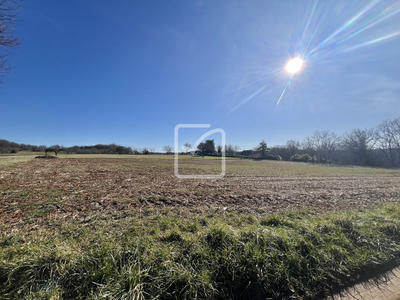 Terrain - 15 599 m²