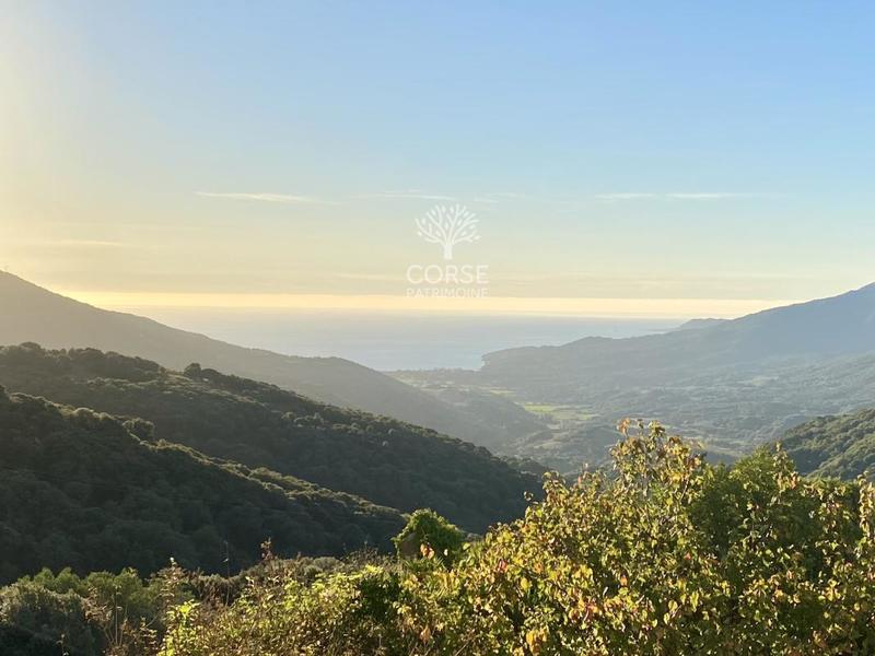 Maison de village - 314 m² - 6 pièces