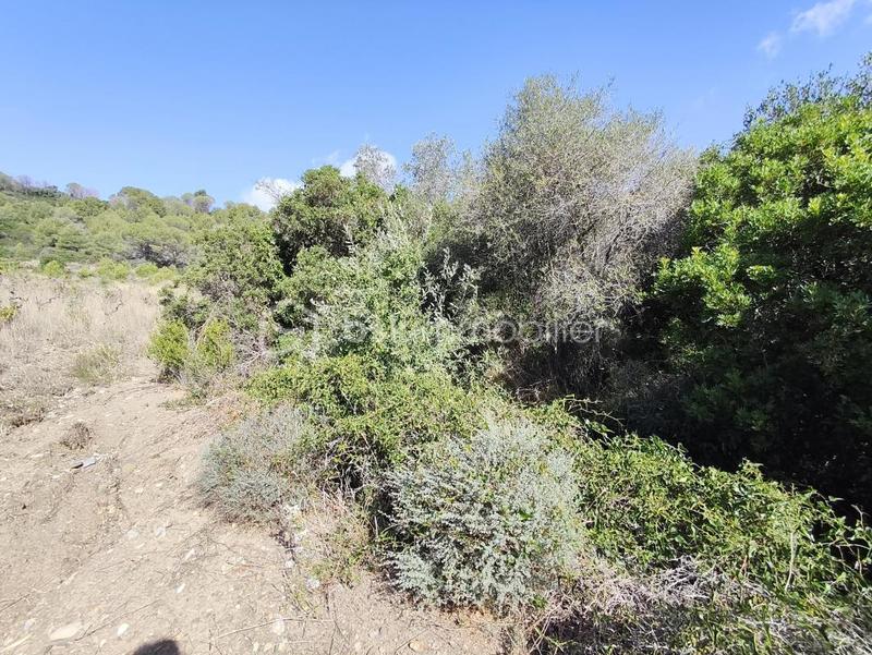 Terrain agricole - 2 420 m²