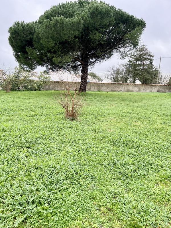 Maison - 181 m² - 6 pièces